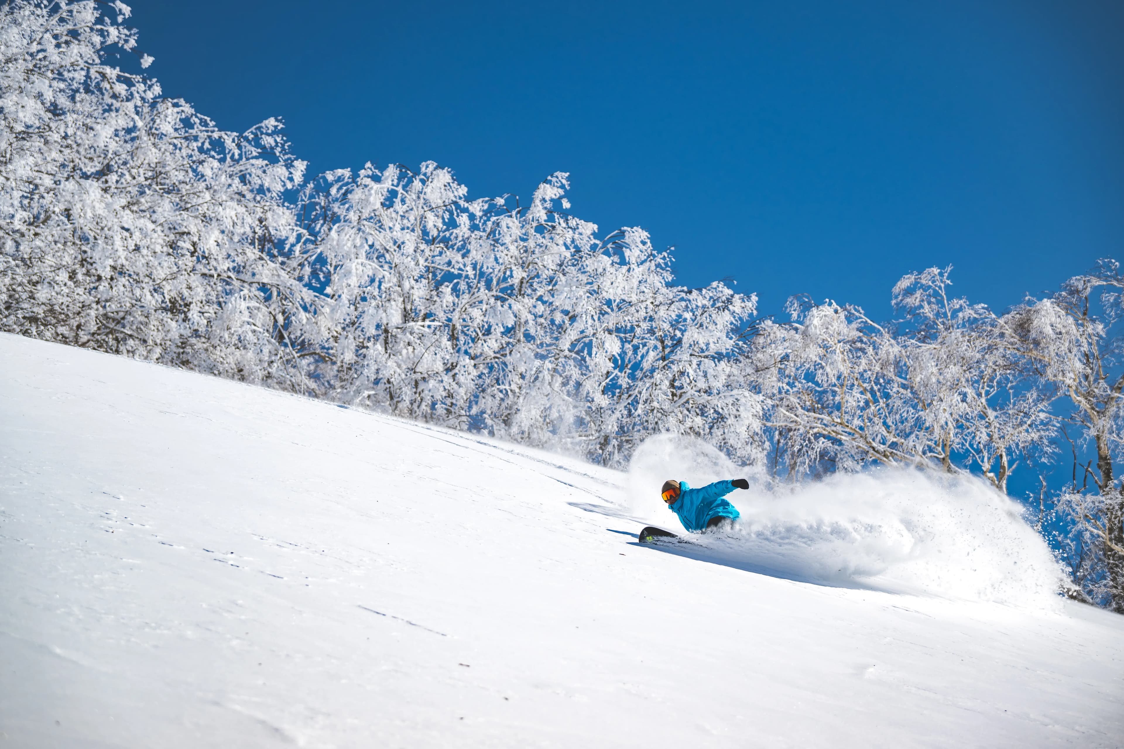 Hokkaido Backcountry & Powder Tours
